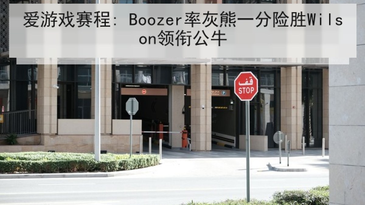 爱游戏赛程: Boozer率灰熊一分险胜Wilson领衔公牛