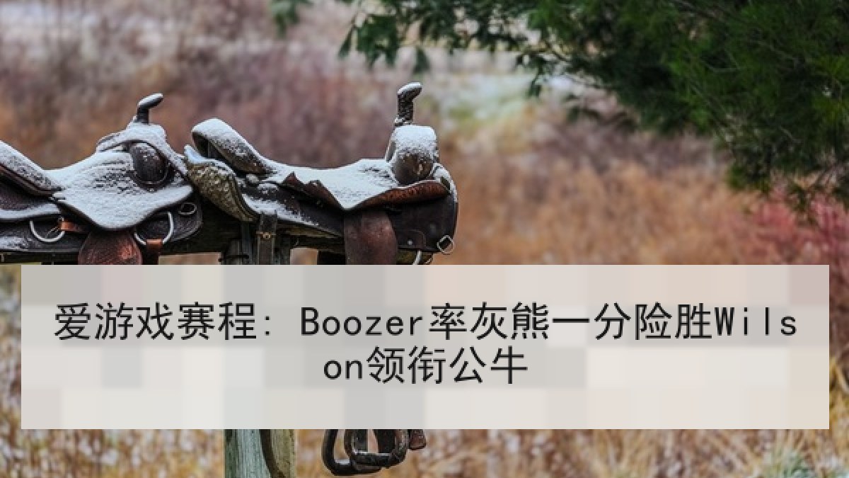 爱游戏赛程: Boozer率灰熊一分险胜Wilson领衔公牛