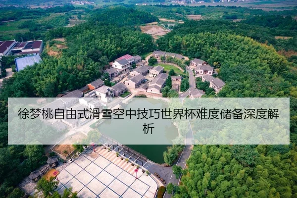 徐梦桃自由式滑雪空中技巧世界杯难度储备深度解析