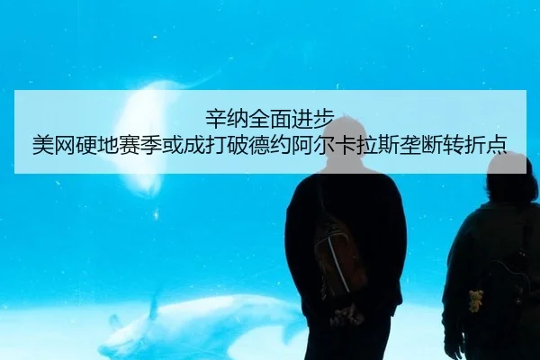 辛纳全面进步 美网硬地赛季或成打破德约阿尔卡拉斯垄断转折点