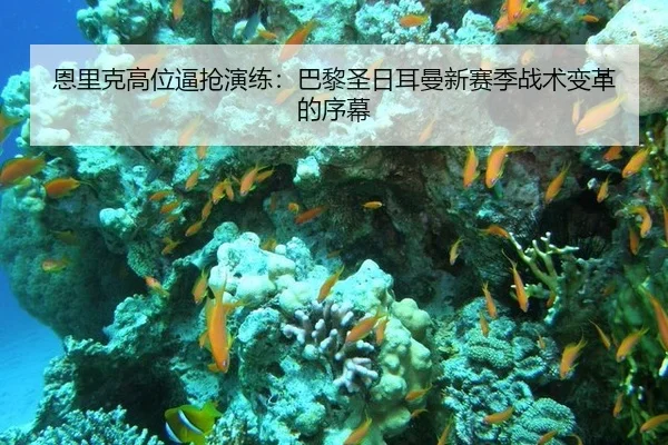 恩里克高位逼抢演练：巴黎圣日耳曼新赛季战术变革的序幕